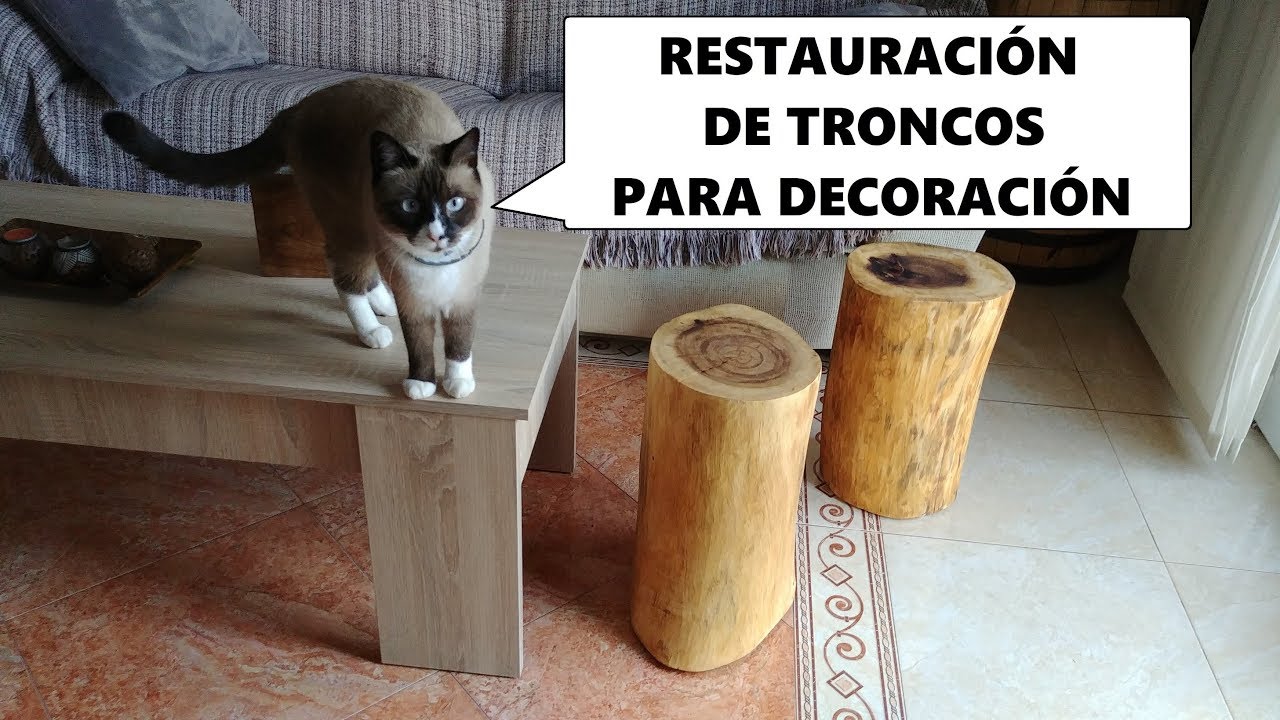 TRONCOS DE MADERA para decoración restauración 🪓🛠️ WOODEN LOGS