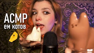 :     ASMR eating cats  beatrisius asmr