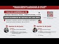 La tutela de derechos en el proceso penal | Christian Salas Beteta