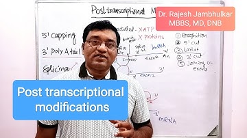 5. Post- transcriptional modifications