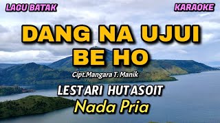 Dang na ujui be ho - Lestari Hutasoit| Karaoke lagu Batak | Nada Pria