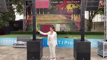 TI pro audio T-510 column and T-18P