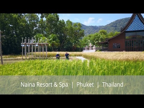 Naina Resort & Spa