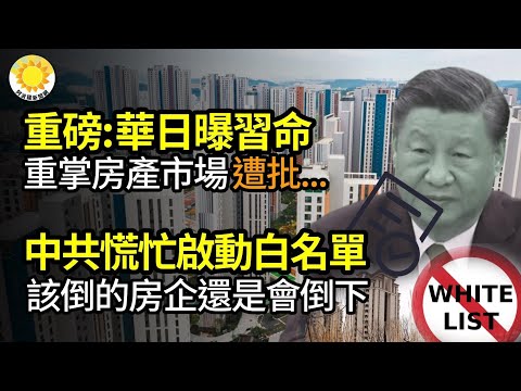 🔥【財經】重磅！：習要中共政府重掌房地產市場 專家分析；中共慌啟動白名單，該倒的房企還是會倒；揭密中共財政四本賬；中共嚴查800家擬IPO企業 陸媒刪報導；泡沫破！房產危機波及海外市場【阿波羅網GP】