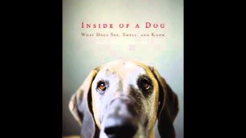 Inside of a Dog: What Dogs See, Smell, and Know