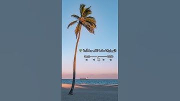 تلاوة مؤثرة من سورة الشرح بصوت الشيخ سعد الغامدي
