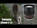 Cтрим #124: продал кучу объективов, думаю над SAMYANG 85mm f/1.4. Обсудим 600D vs 50D и кроп vs ФФ.