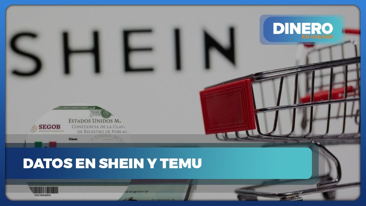 Qué datos personales piden Shein y Temu y por qué | Dinero en Imagen