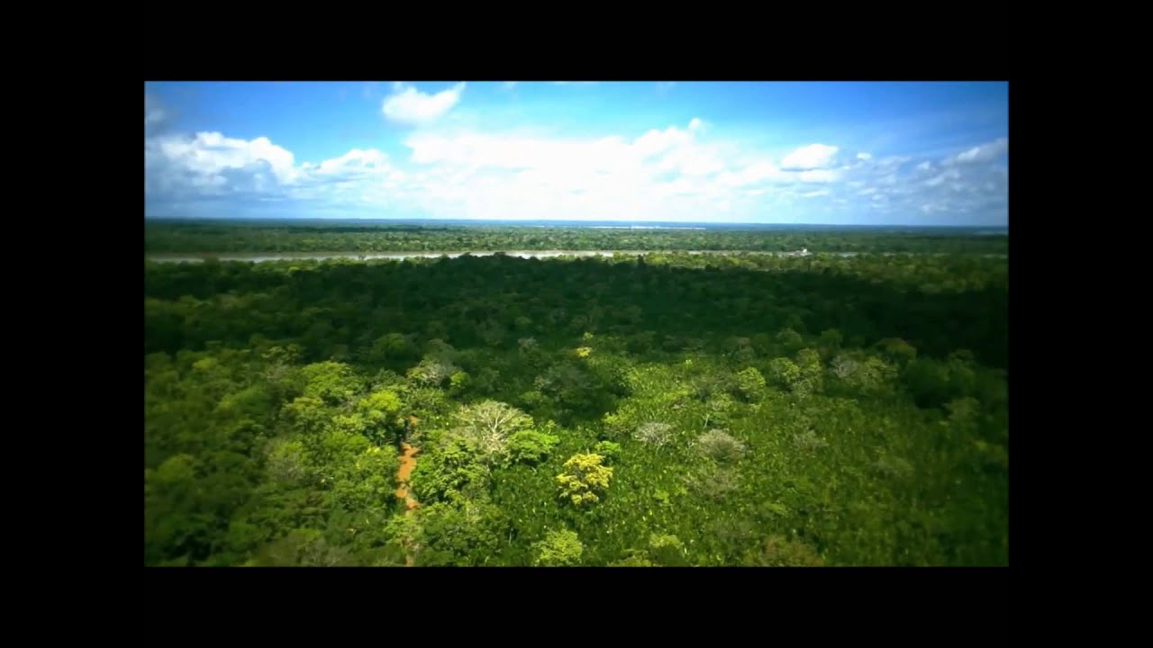 Amazone regenwoud ontbossing