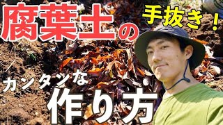 初心者でも簡単手抜き腐葉土の作り方