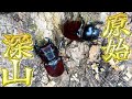部屋のスミで忘れていた『幻のクワガタ』が沢山増えていたので、割り出してみたら…？