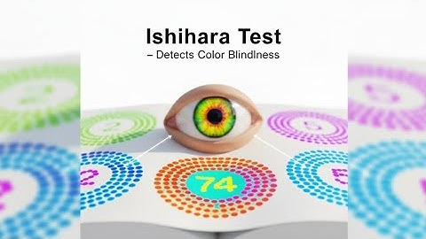 “Can You See the Numbers? 👀 Ishihara Test Challenge!”