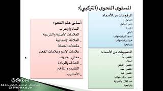 لقاء مع د رغد الجاجي - اللغة العربية وأسس التدقيق اللغوي 2