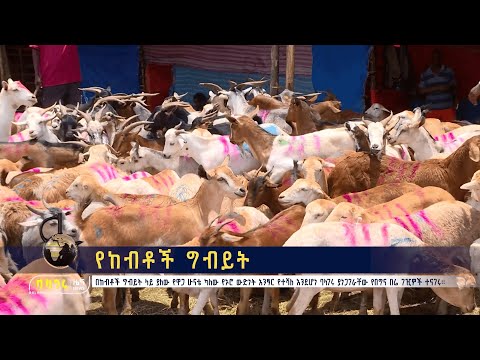 ቪዲዮ: የሸቀጦች የተሸጡ ቀመር ዋጋ ስንት ነው?