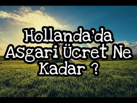 Hollanda'da Asgari Ücret Ne Kadar 2020 ?