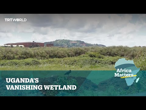 Africa Matters: Ecotourism new hope for Ugandan wetlands