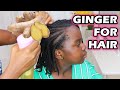 Ginger for Hair Growth, Hair Loss, and Dandruff | DiscoveringNatural