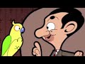 Look Who's Talking | Funny Episodes | Mr Bean Cartoon World