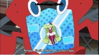 Steenee (Amamaiko) Evolves Into Tsareena (Amajo) || Pokemon Sun and Moon Episode 82 English Subbed