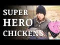 Our Chickens Got SUPER HERO Capes! (hen saddles)