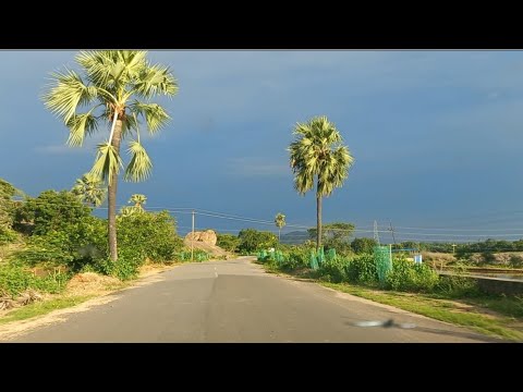 Village Nature View | Drive in Nature | Nature WhatsApp Status | Village Nature Beauty 🌱 🚘