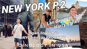 #USAVlog: Lần đầu xem Concert Harry Styles 😍 Mình đã được ngắm Tượng Nữ Thần Tự Do // Dinology