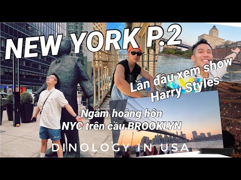 Video: Xe của Harry Styles