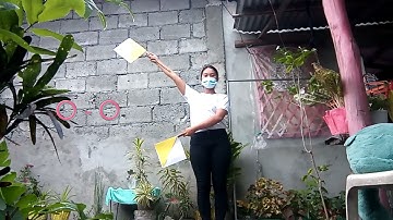 Semaphore Flag Signals🏳️