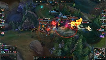 Maokai bug can