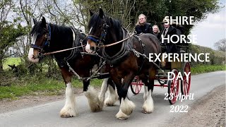 SHIRE HORSE EXPERIENCE DAY 23 April 2022 with CASEY &amp; BERNIE