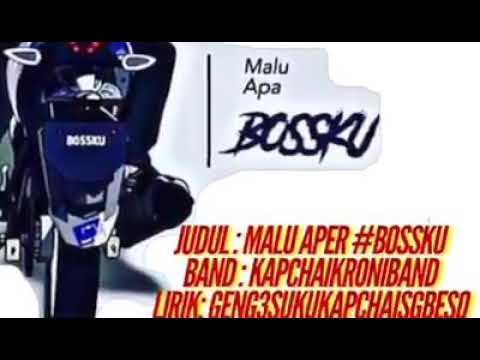 Lagu Khas Malu Apa Bossku Bossku Najib Youtube