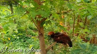 My Trip My Adventure