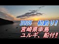 クエ【アラ】初釣り！始まりはやっぱりココ！宮崎県幸島ユルギ、船付でアラを狙う‼