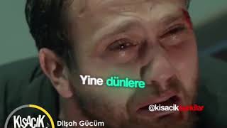 Dilşah Gücüm - Yine Zarardayım Resimi