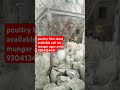 poultry lime stone available call me munger agro 9304134431