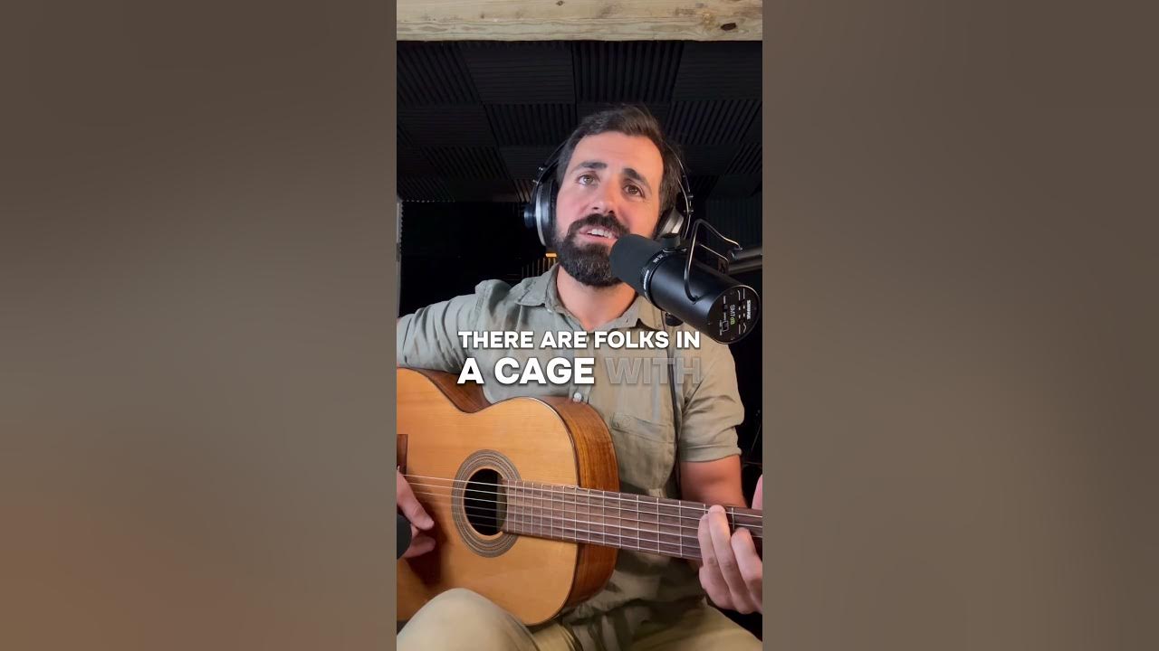 Feed 'em All to the Gators #singersongwriter #acoustic #theresistance #folk Feed 'em All to the Gators #singersongwriter #acoustic #theresistance #folk
