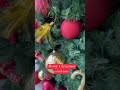Merry Christmas everyone #christmas #youtubeshorts #holiday #shortvideo