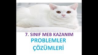 7. SINIF PROBLEMLER MEB KAZANIM KAVRAMA TESTİ 2019