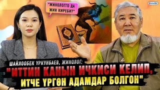 "Иттин канын ичкиси келип, итче үргөн адамдар болгон" дейт жинолог