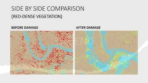 Estimation of deforestation from temporal satellite imagery