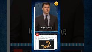 Download Lagu Schorpioen steekt passagier #grappig #snl #kortfilms MP3