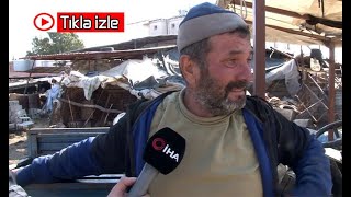 Depremde hayvanları telef oldu, o anları gözyaşları içinde anlattı