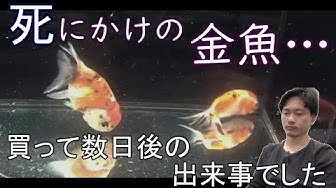塩浴 Youtube