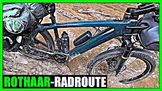 Versunken im Rothaargebirge: 2 Tage E-Bike Tour mit Zelt
