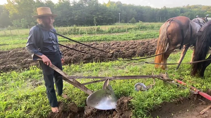 Why Do We Plow Our Soil? | Titus Morris | #farming #farmlife #plowing #horses #organicfarming 
