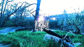 heffy - MORTEM (Album Visualizer)