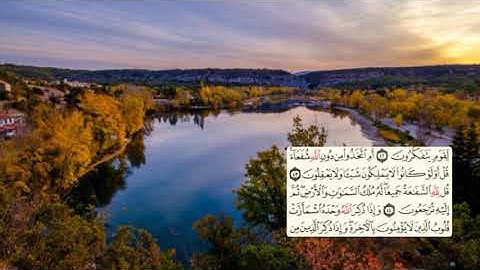 463-page سعد الغامدي - -سورة الزمر Sourate AZ-ZUMAR / LES GROUPES-39