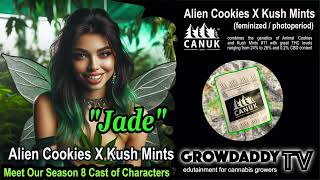 MEET JADE