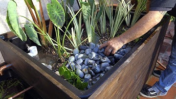 Patio Pond with Bog Filter | Planting the Pond Plants - Part 11
