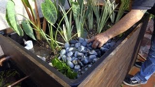 Patio Pond with Bog Filter | Planting the Pond Plants  Part 11